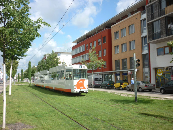 rieselfeld tram